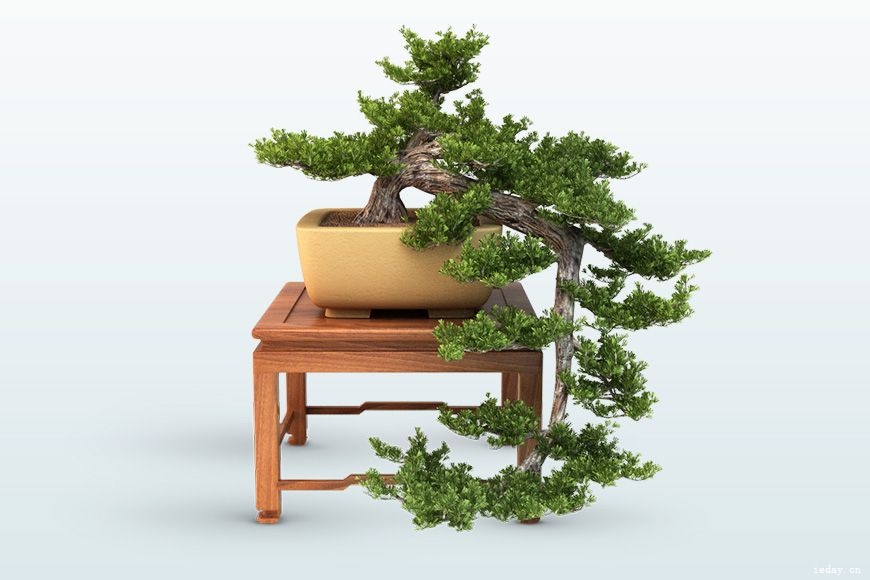 Free-3d-models-bonsai-gallery-4.jpg