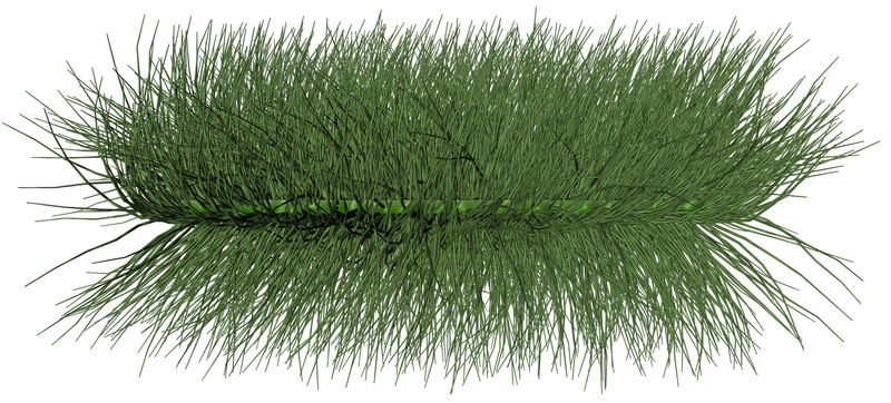 grass_01_png_by_gd08-d33gf2t_调整大小.png