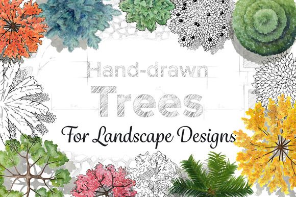 Hand-Drawn-Trees.jpg