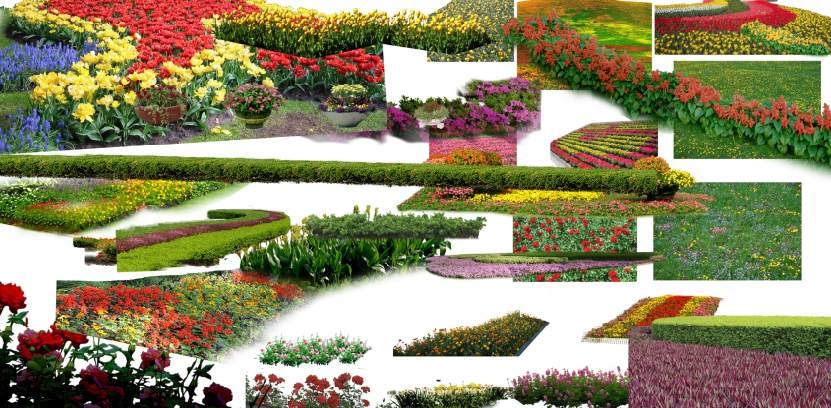花草植物PSD-1