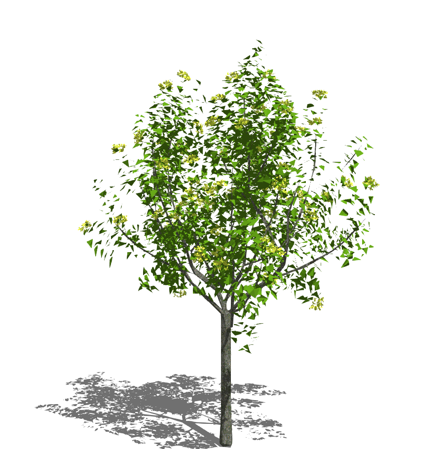 2D树木 绿色乔木-1