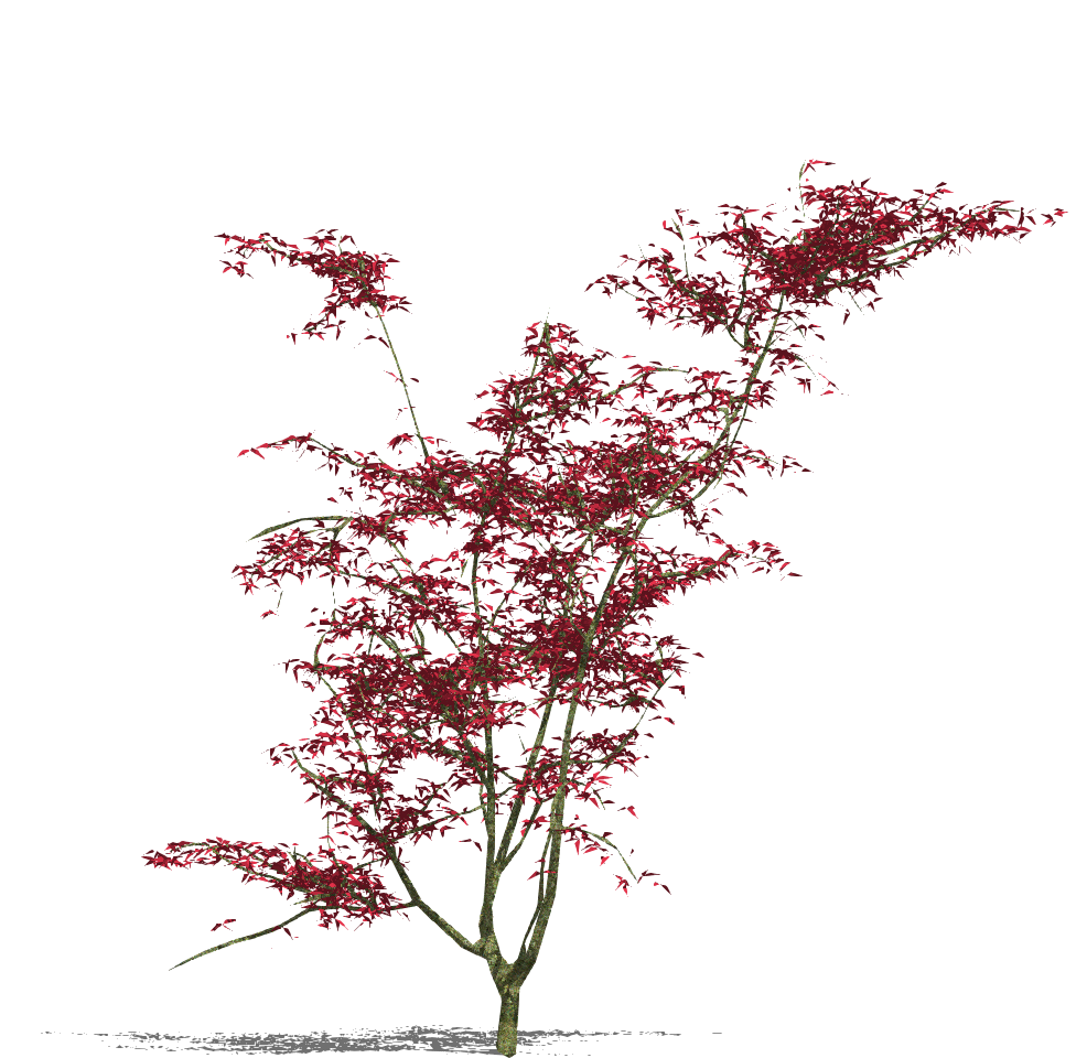 2D树木  乔木花乔-1