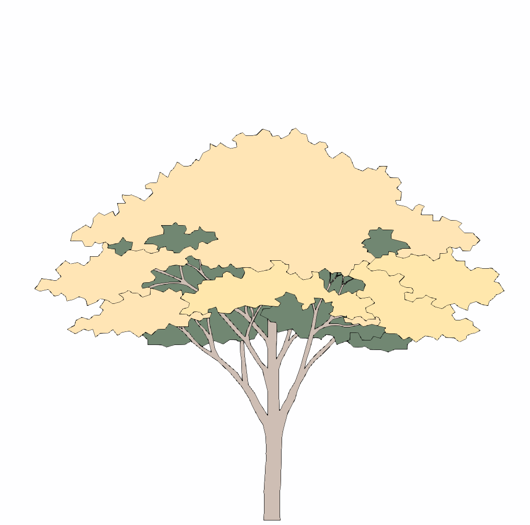 手绘乔木su-1