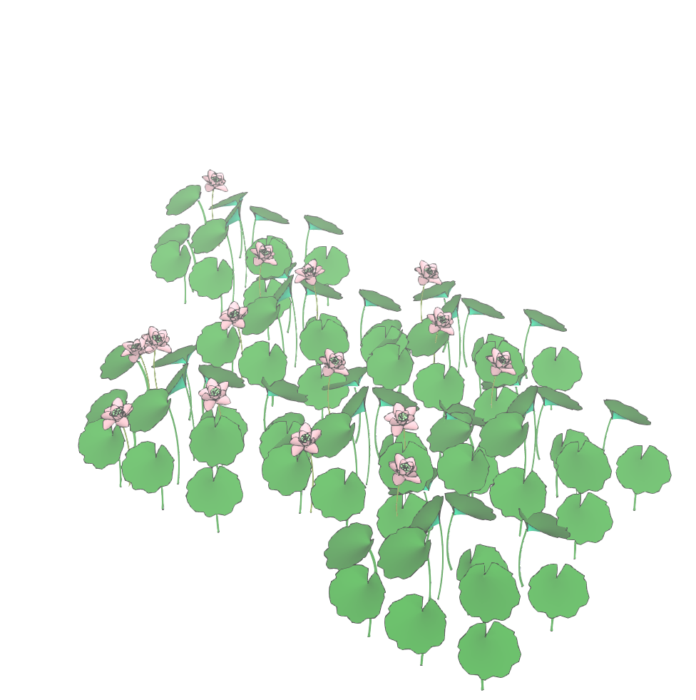 睡莲荷花-1
