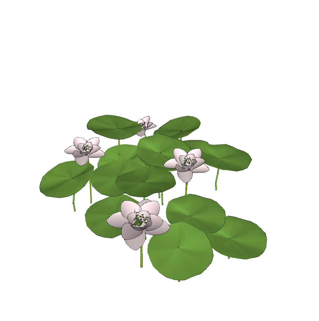 睡莲荷花-1