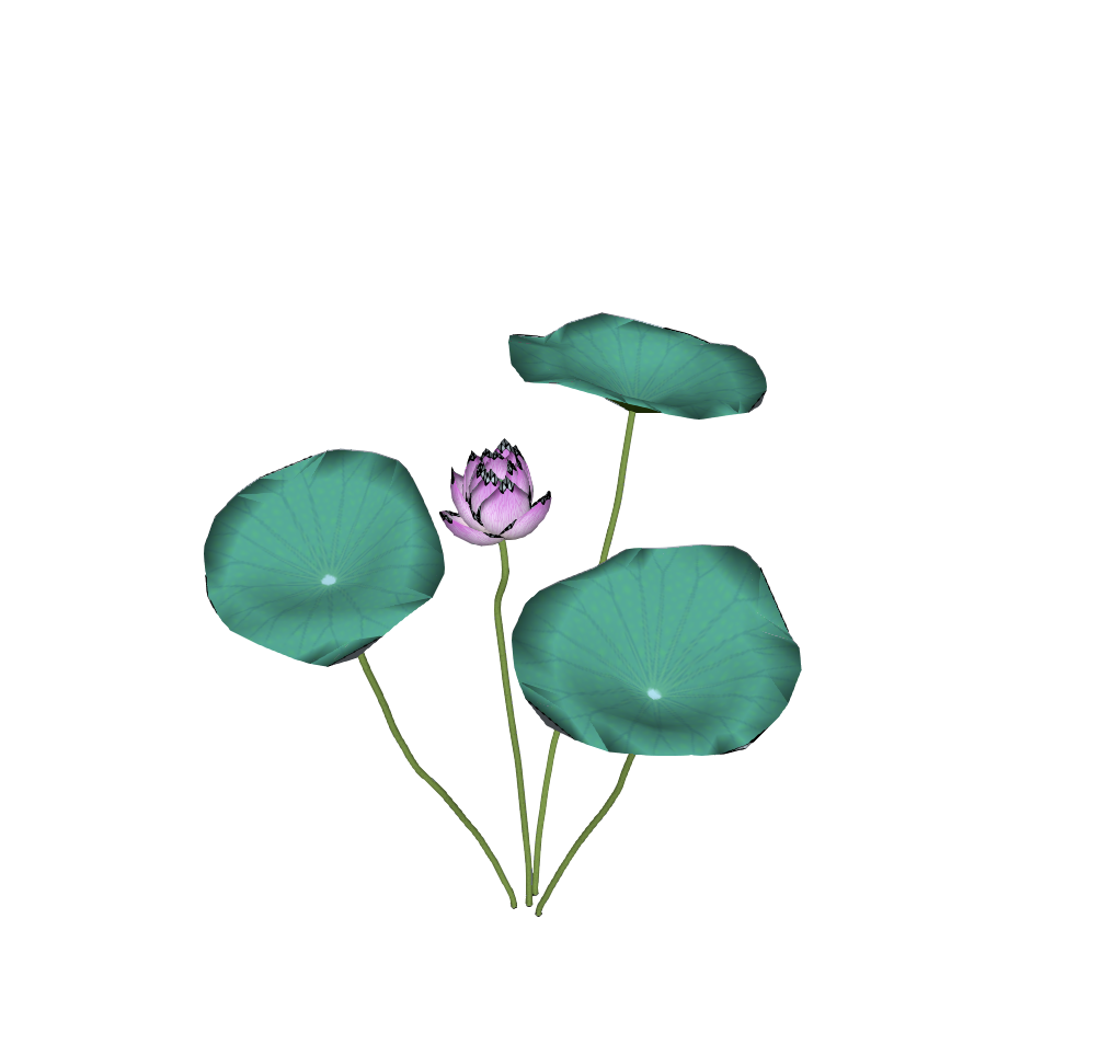 睡莲荷花-1