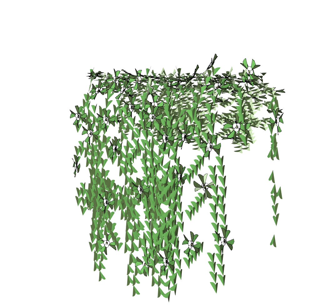 藤蔓植物-1