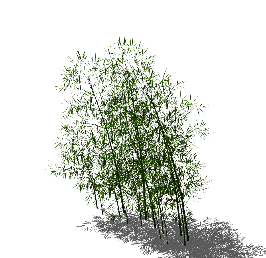 竹类-1