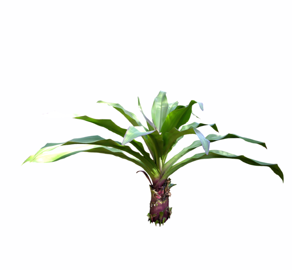 2D 绿色灌木-1
