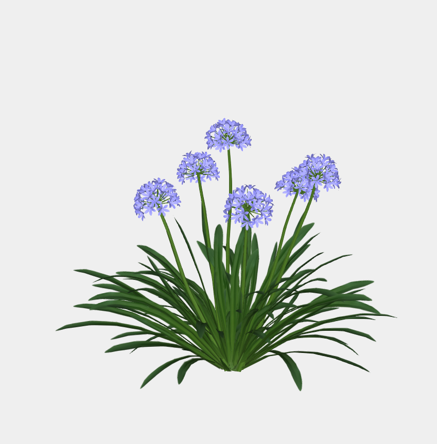 3D 花卉灌木-1