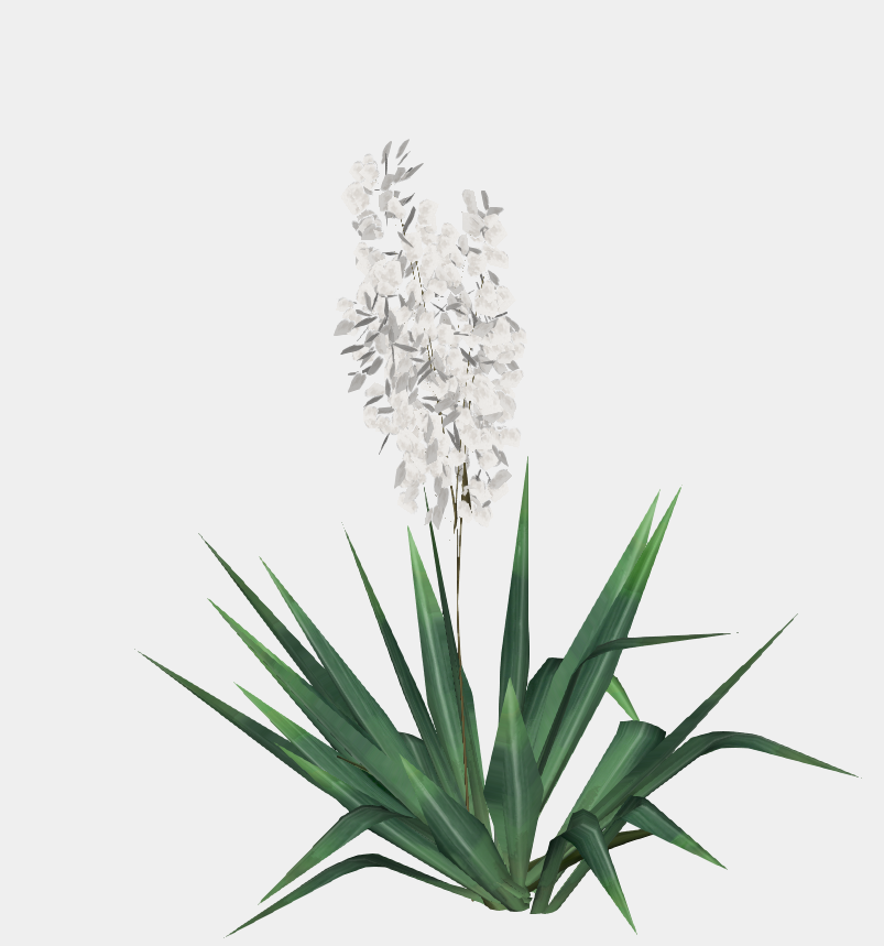 3D 花卉灌木-1