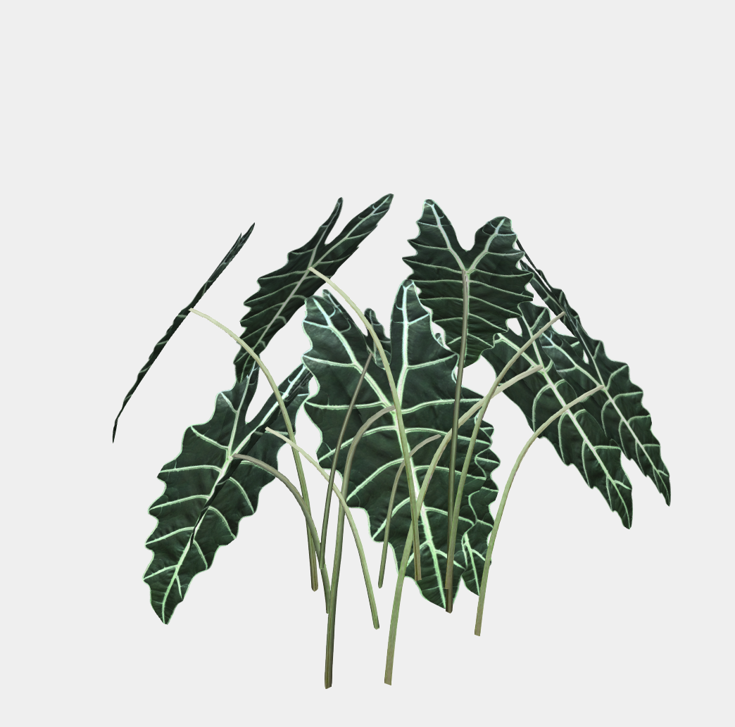 3D 花卉灌木-1