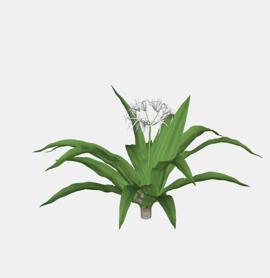 3D 花卉灌木-1