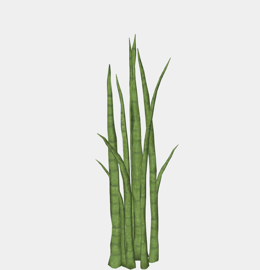 3D 花卉植物-1