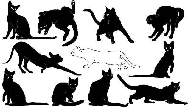 矢量动物图标系列-猫-1