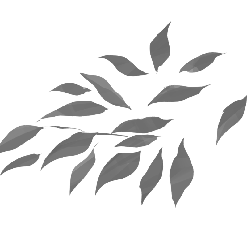 落叶ps笔刷-1