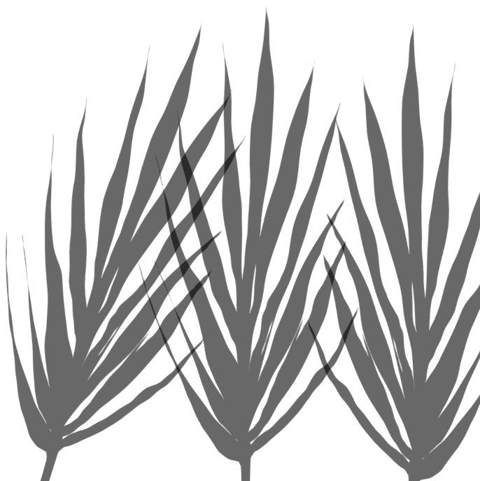 植物笔刷-1