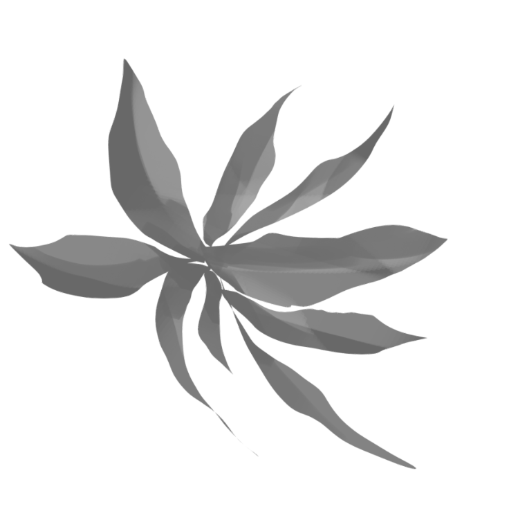 植物ps笔刷-1