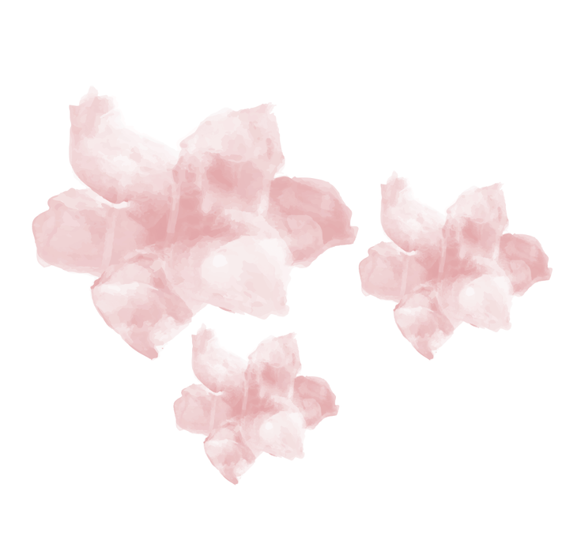 水彩水粉花卉鲜花绘画图形笔刷-1