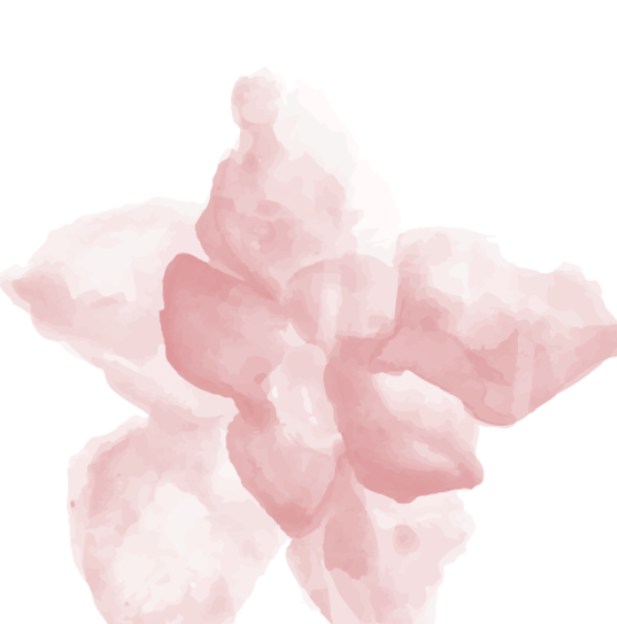 水彩水粉花卉鲜花绘画图形笔刷-1