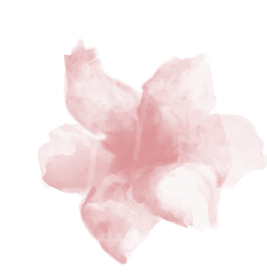 水彩水粉花卉鲜花绘画图形笔刷-1
