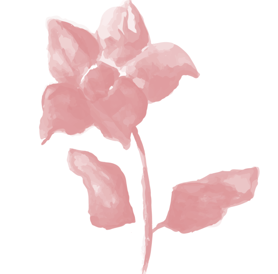水彩水粉花卉鲜花绘画图形笔刷-1