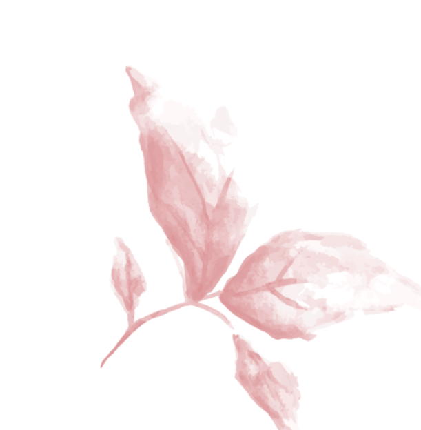 水彩水粉花卉鲜花绘画图形笔刷-1