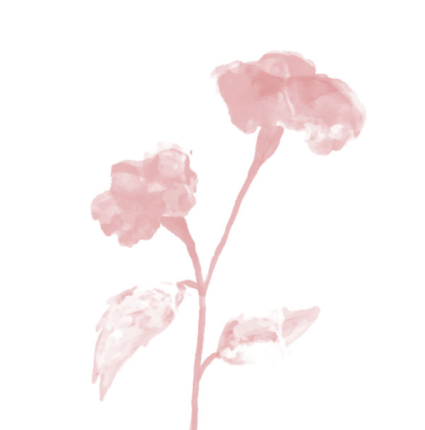 水彩水粉花卉鲜花绘画图形笔刷-1