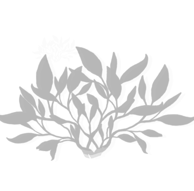 植物PS笔刷-1
