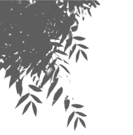 植物阴影效果笔刷-1