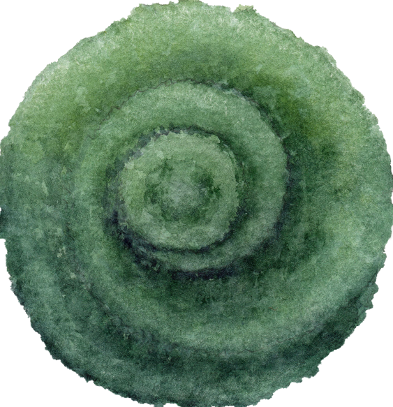 清新水彩风园林平面植物-1
