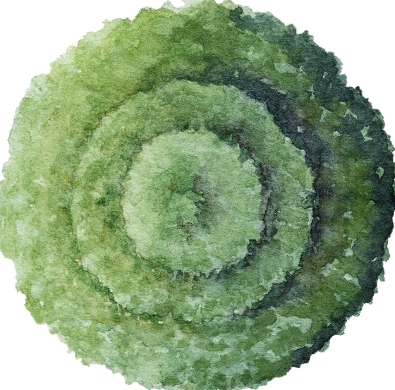 清新水彩风园林平面植物-1