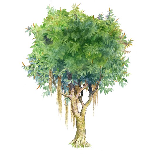 拼贴风手绘书素材-1