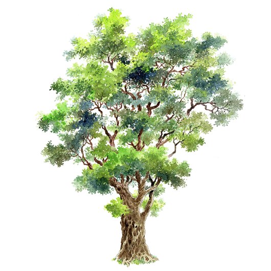 拼贴风手绘树素材-1