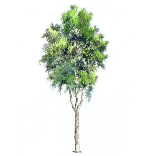 拼贴风手绘树素材-1