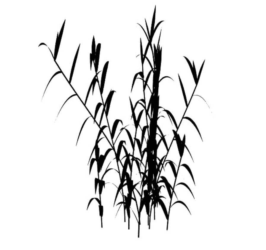竹子立面树笔刷-1