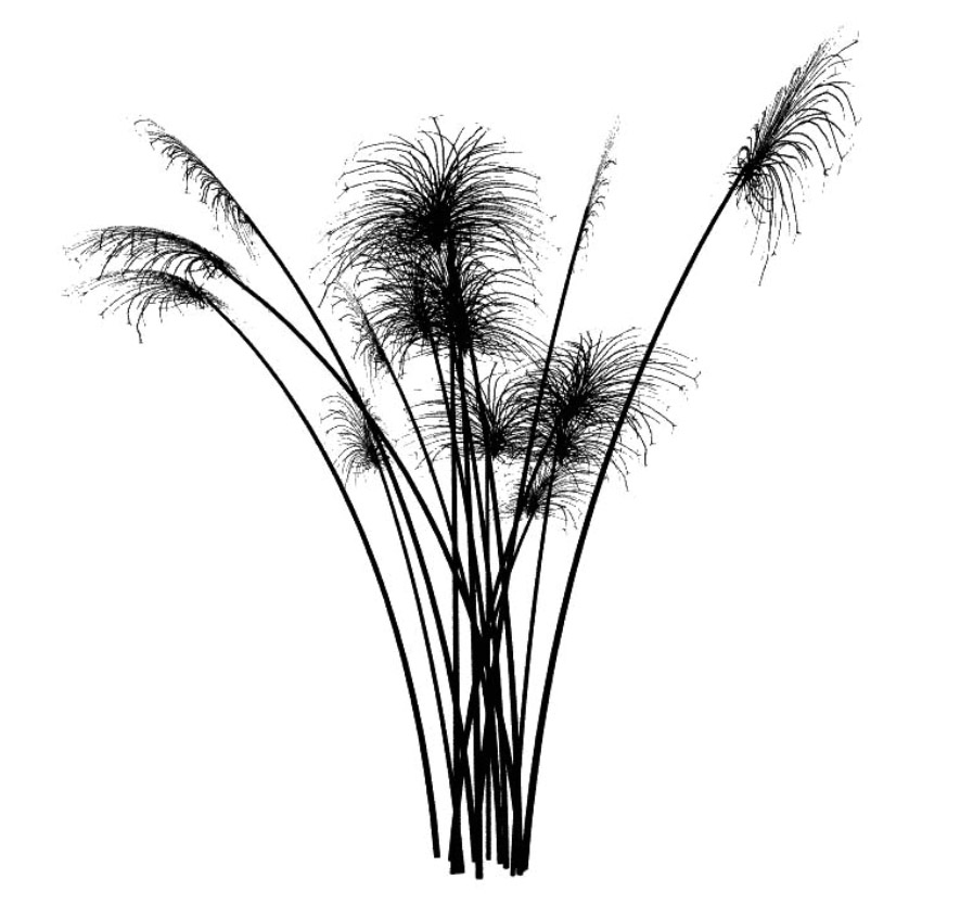 papyrus 纸莎草 立面笔刷-1