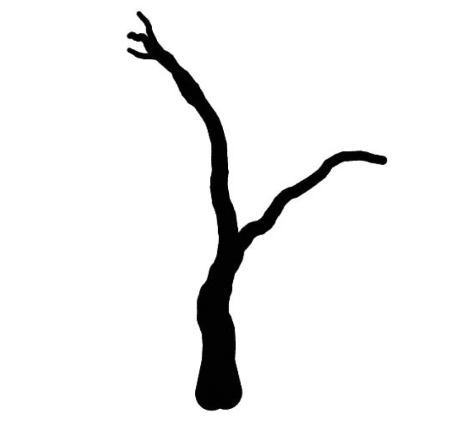 deadbranch 枯树树枝 立面笔刷-1