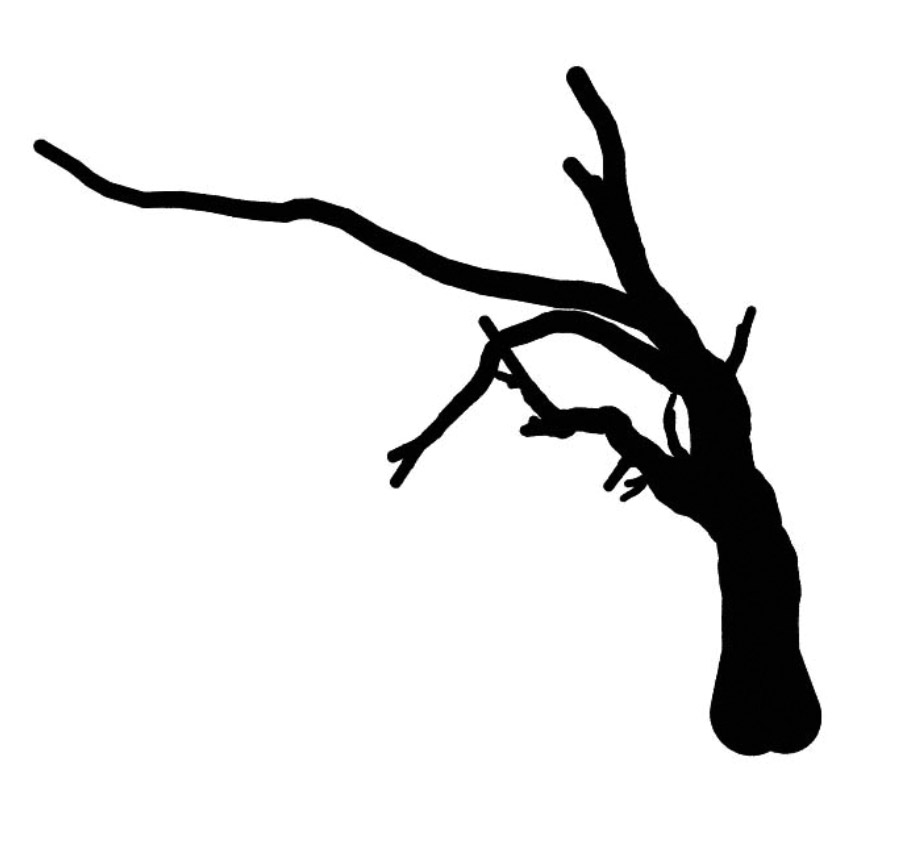 deadbranch 枯树树枝 立面笔刷-1