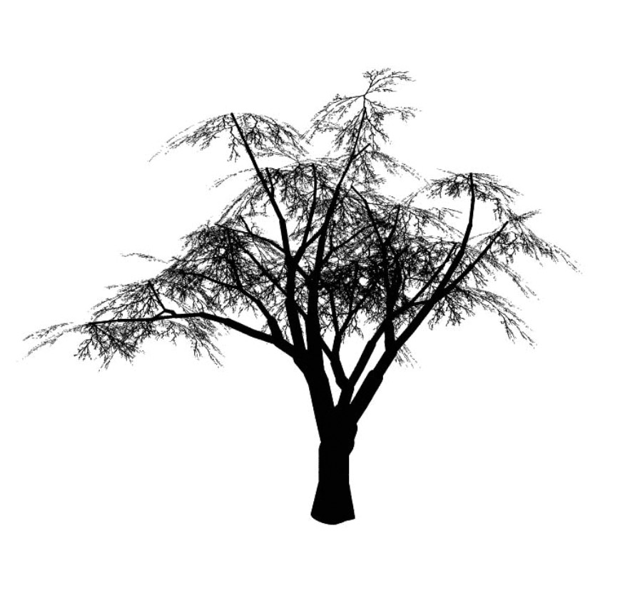 pear 梨树笔刷-1