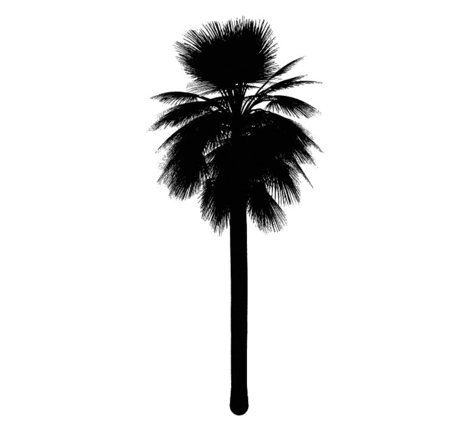 palm 棕榈树 立面笔刷-1