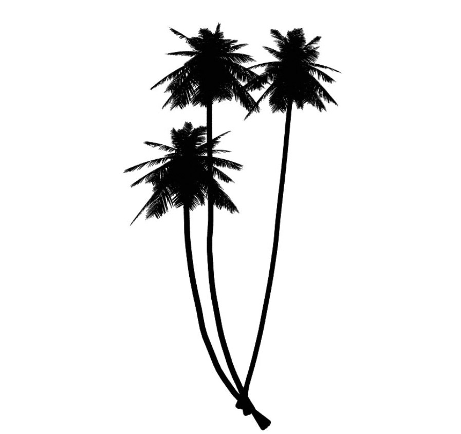 cocos 椰子树 立面笔刷-1
