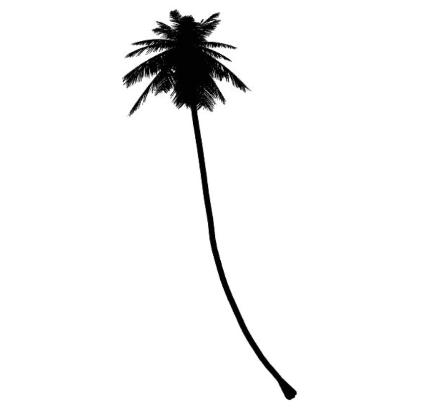 cocos 椰子树 立面笔刷-1