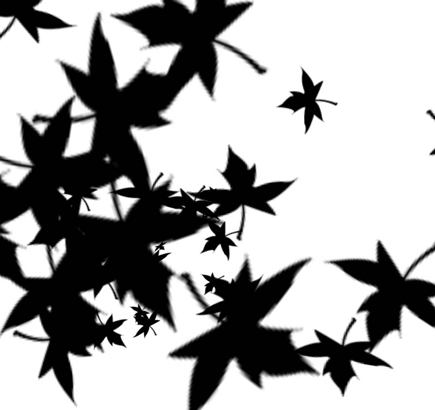 散落的枫叶 Scattered Maple Leaves-1