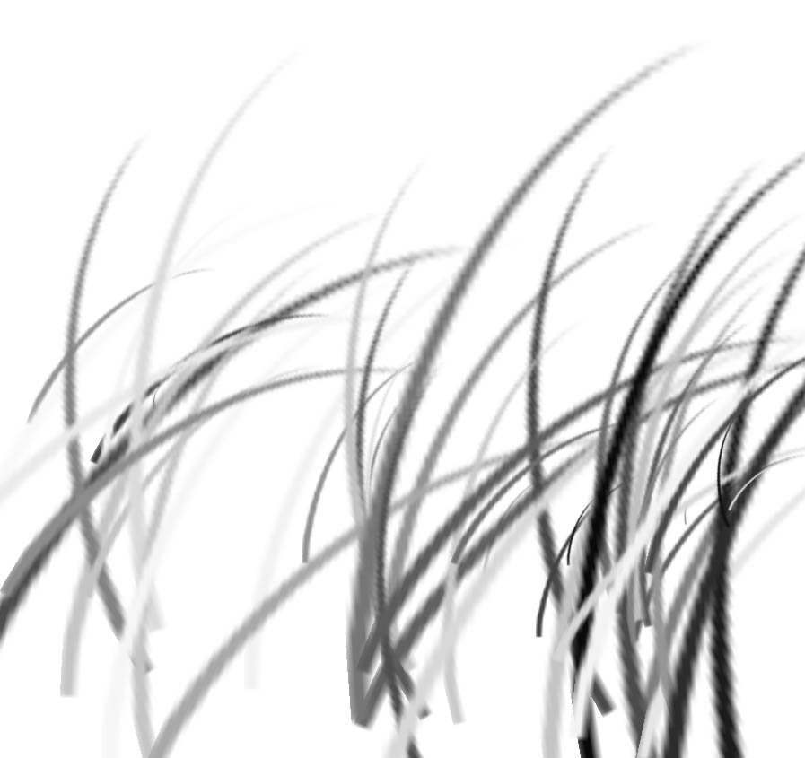 Dune Grass 沙丘草 笔刷-1