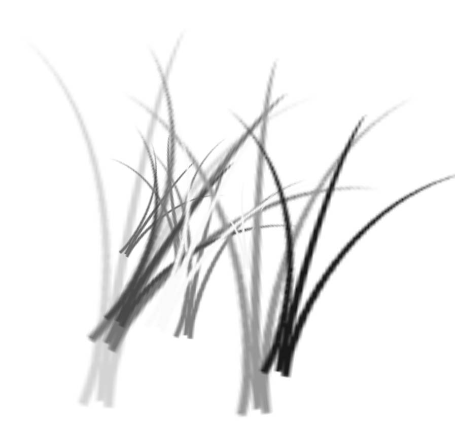 Grass 草 笔刷-1