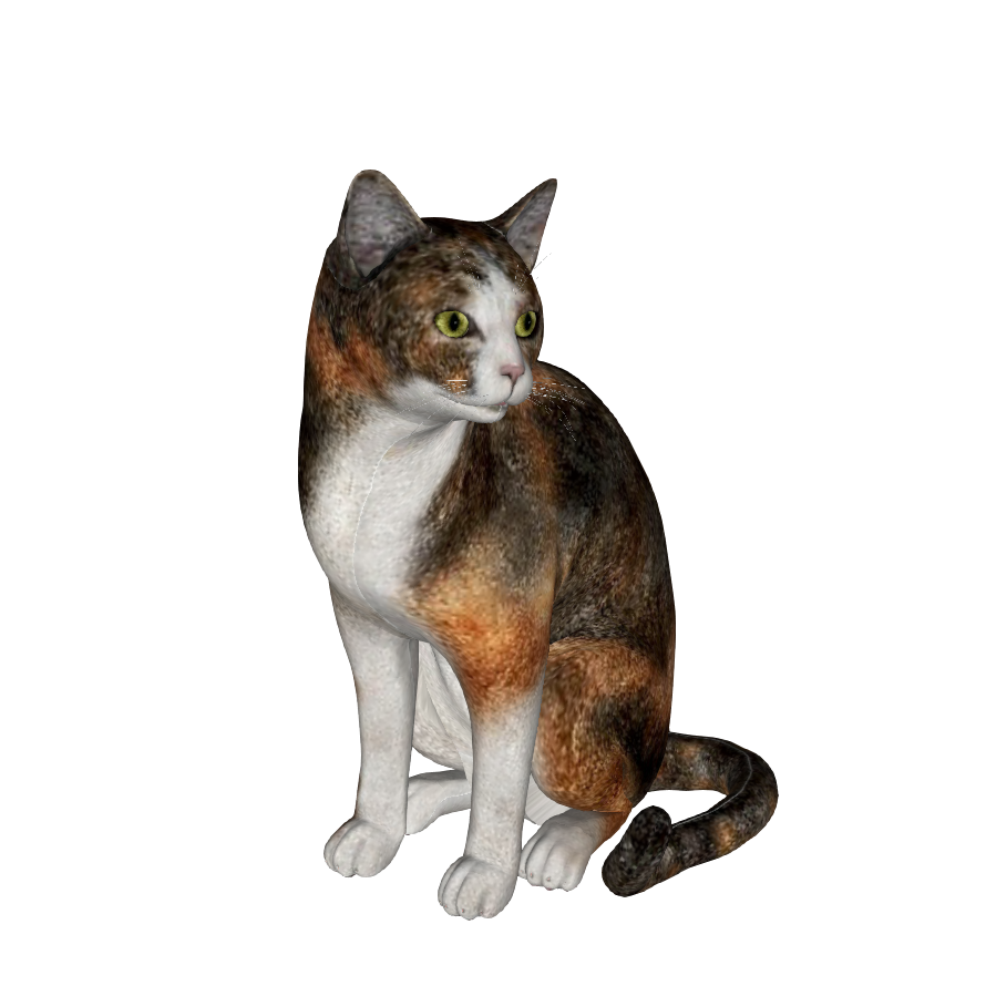 猫咪动物3D模型-1