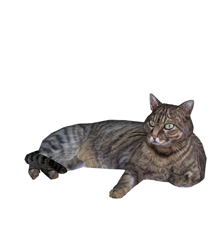 猫咪动物 3D模型-1