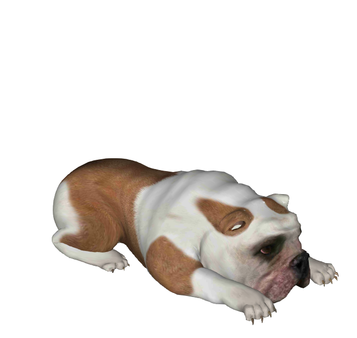 小狗 动物3D模型-1