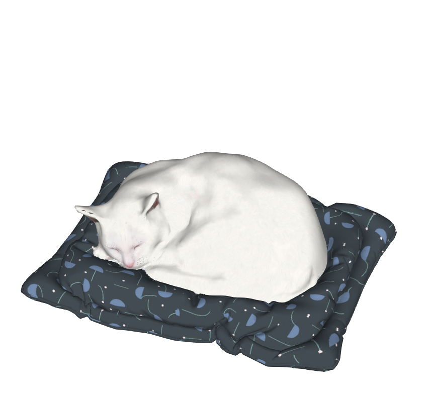 猫咪 动物3D模型-1